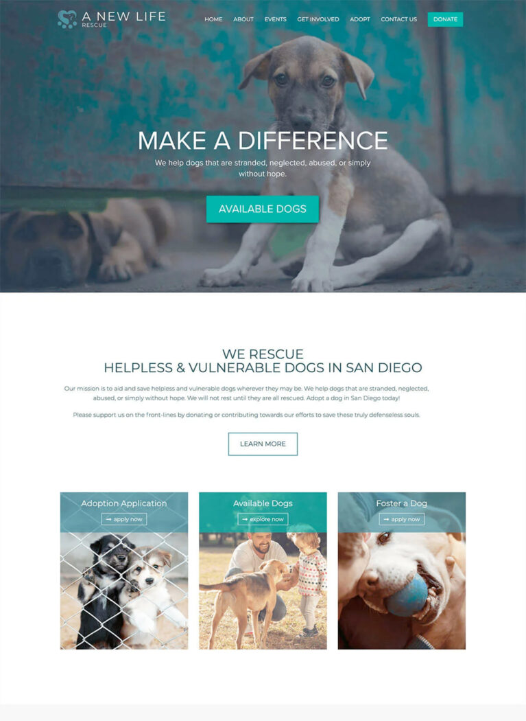 ANLCF Website Design and Development, Dallas TX