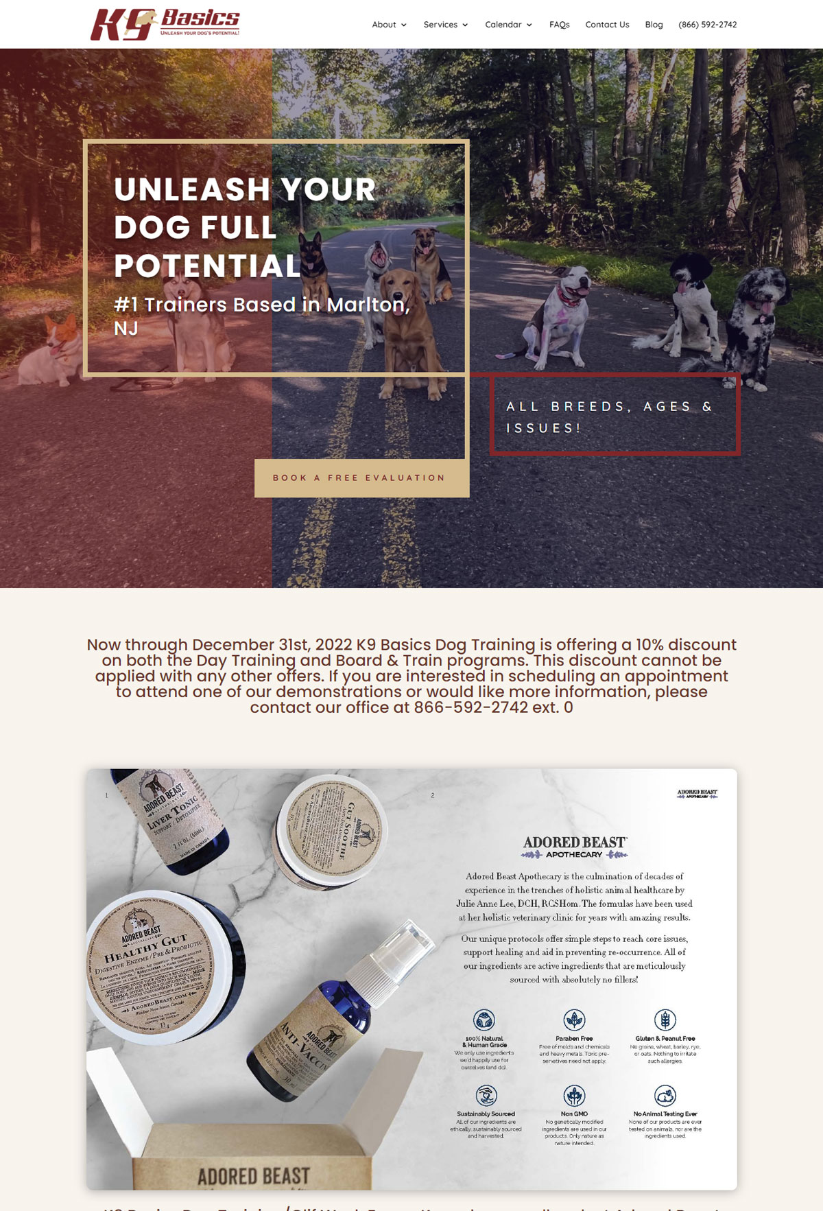 Dog Training Website Design
