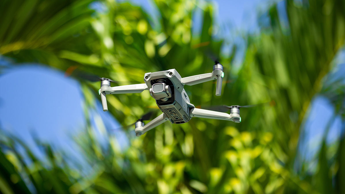 drone-against-palm-trees