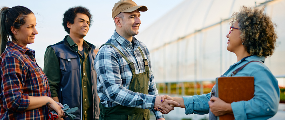 Bless Web Designs helping Dallas businesses to get more customers