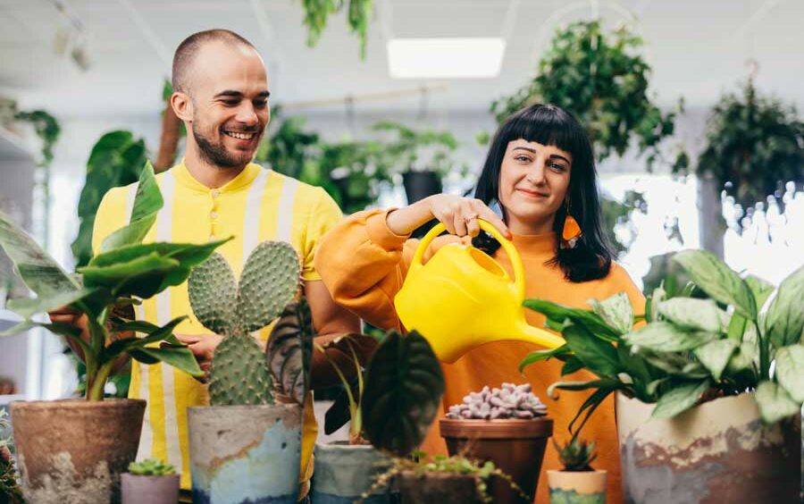 A digital marketing strategy for engaging new audiences at the Dallas Arboretum