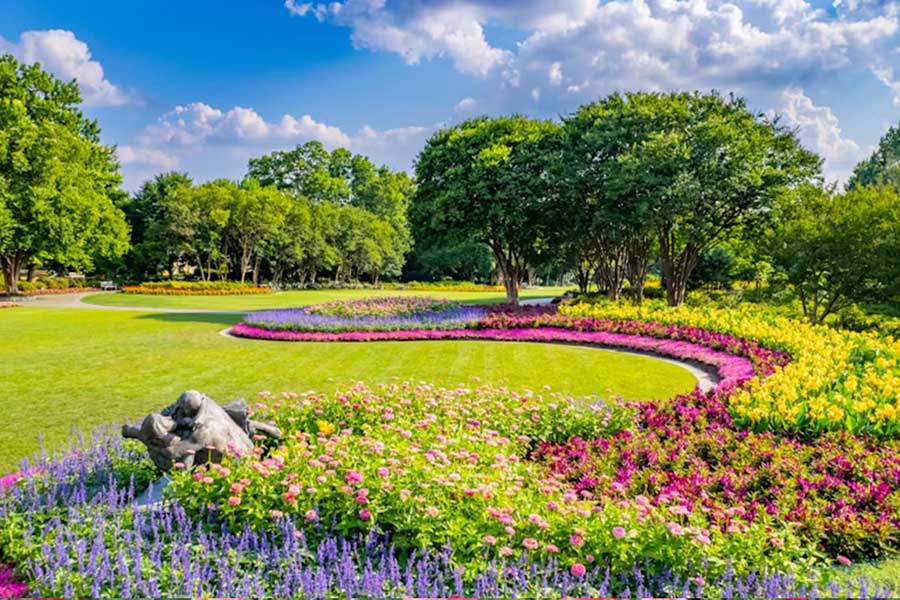 Engaging New Audiences with the Dallas Arboretum Through Digital Marketing